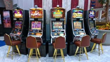 velbett login Community bingo with real payouts